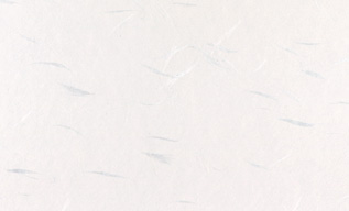 torinoko.img